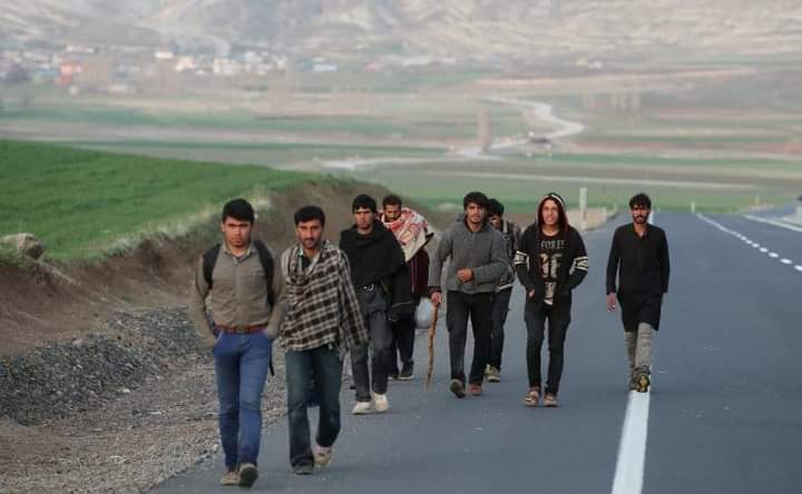 اروپایي ټولنه: افغانان جګړو وځپل؛ مرسته ورسره کوو