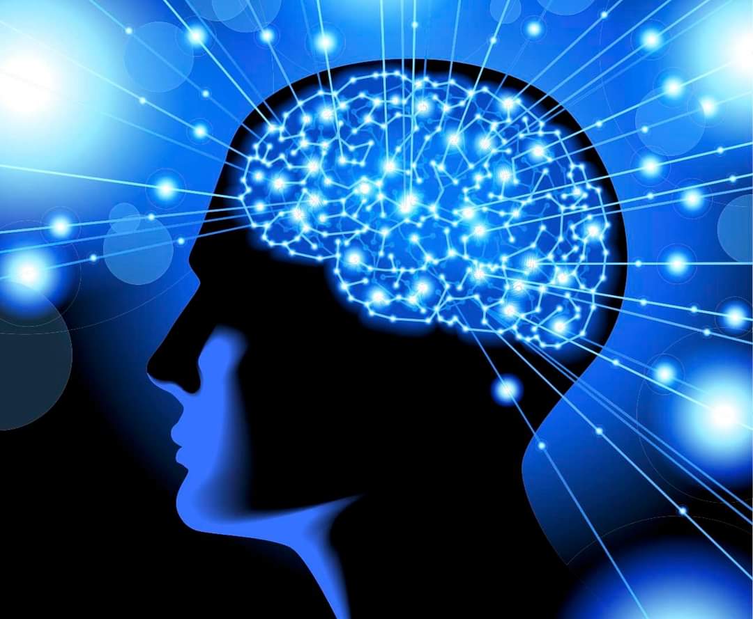 د یو انسان زړه بل ته لګول؛ ایا احساس ورسره بدلیږي؟