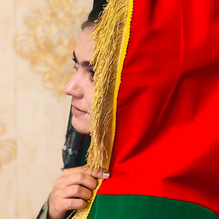 لومړیتوبونه څه دي او حکومت څه کوي؟