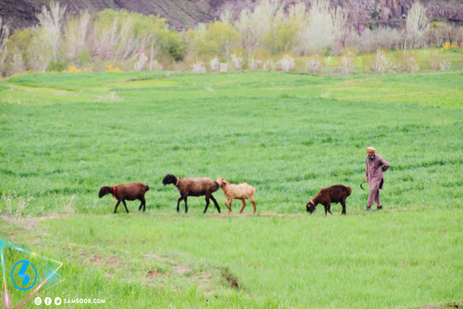 پنجشیر ولایت