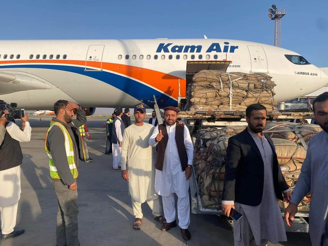 له ځنډ وروسته؛ چین ته د افغانستان جلغوزیو صادرات بېرته پیل شول