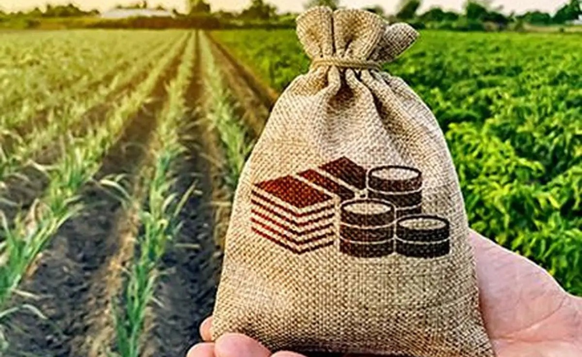 ښایي په ۲۰۲۶ کال افغانستان ته د هند کرنیزو محصولاتو صادرات کم شي