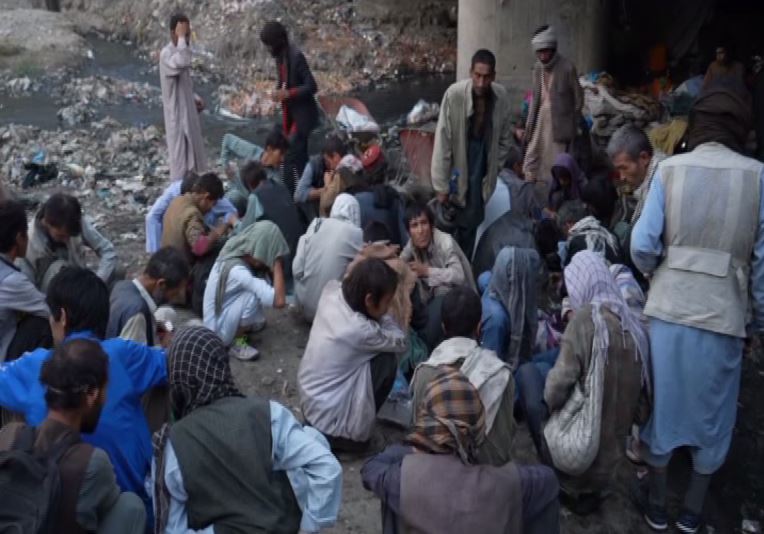 کورنیو چارو وزارت: له کابل ښاره شل زره نشه‌یان راټولوو