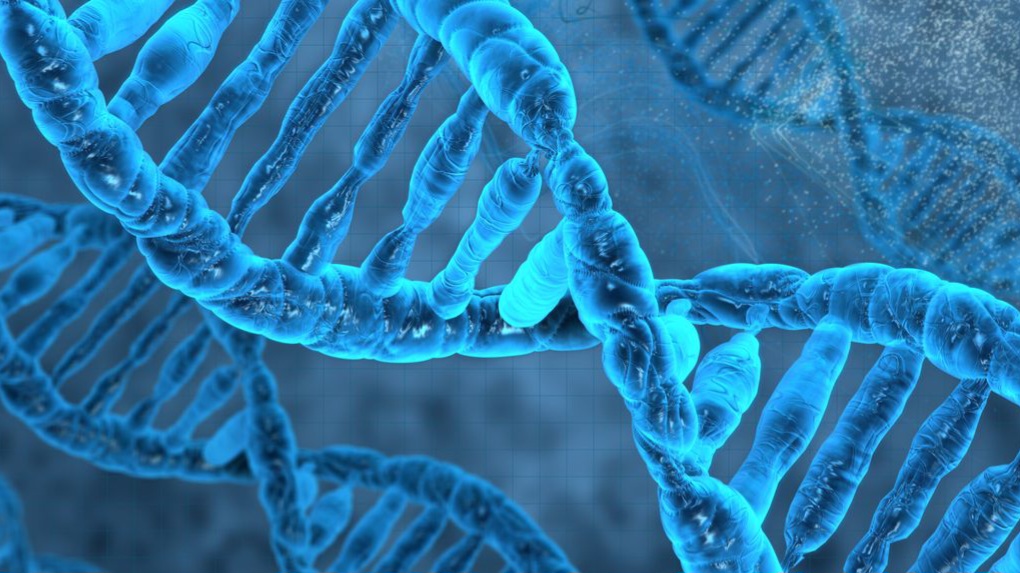 د ډي ان ای (DNA) عجایب او پرې د مثبت فکر اغېزې