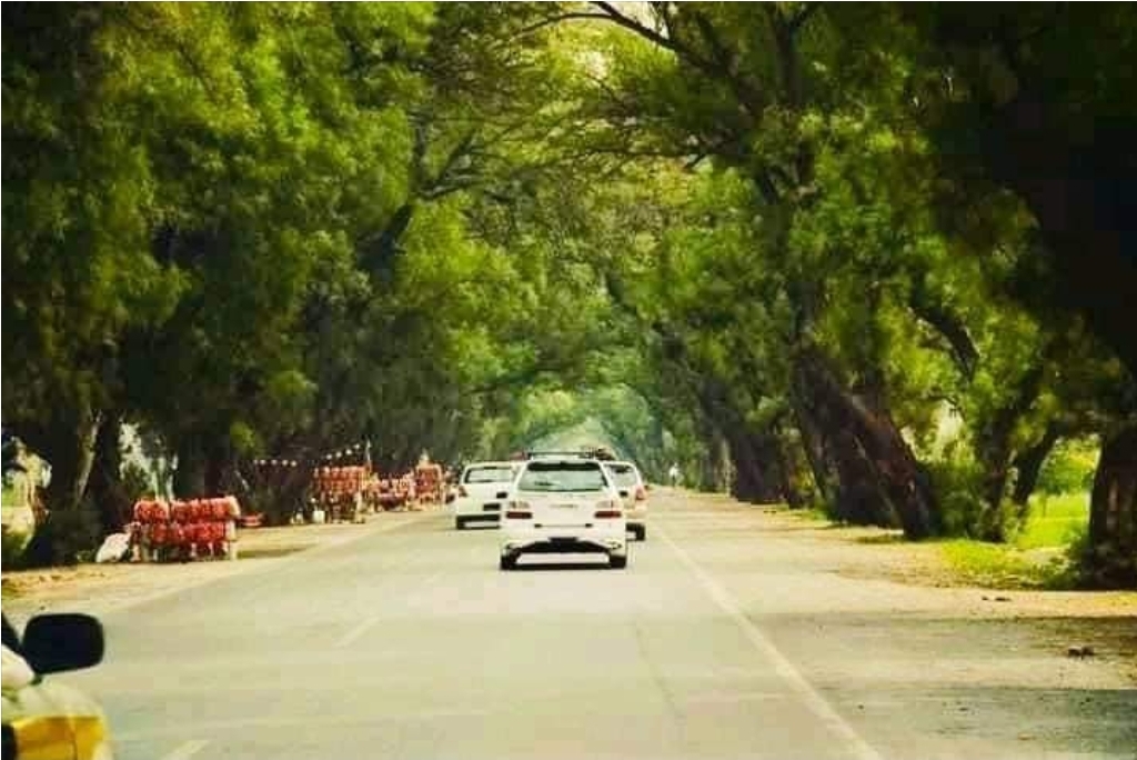 ننګرهار کې د ټرافیکي پېښې له امله څلورو کسانو ته مرګ‌ژوبله اوښتې