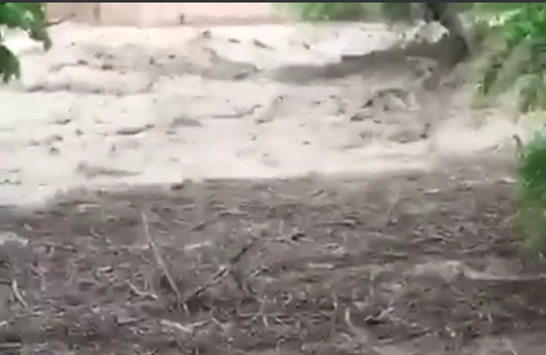 هرات کې سیلابونو ۱۴ کسان وژلي