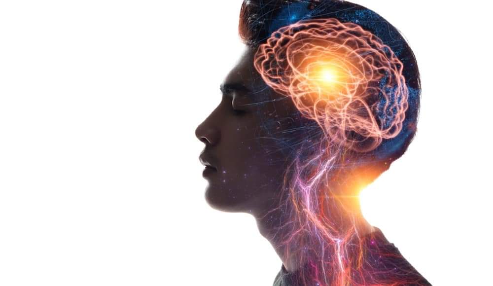 احساسات څه دي او له مغز سره یې اړیکه څه ده؟