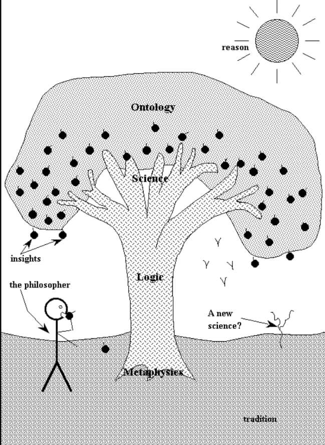 فلسفه اوس هم د علومو مور ده؟