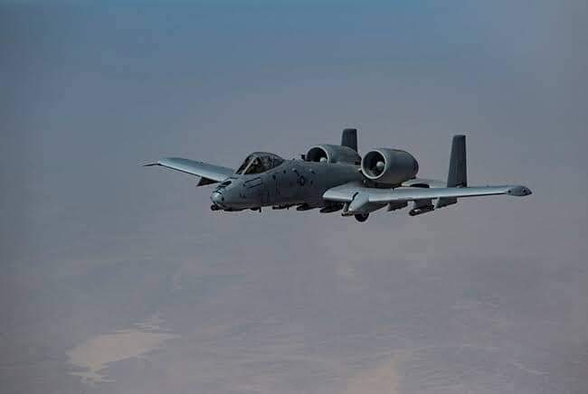 ننګرهار کې افغان ځواکونو د طالبانو د یو مهم قومندان په ګډون ۳۶ تنه وژلي.