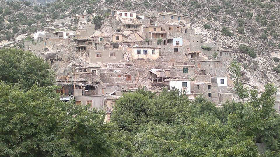 نورستان کې د دوو کورنیو ترمنځ نښته کې اووه کسان وژل شوي