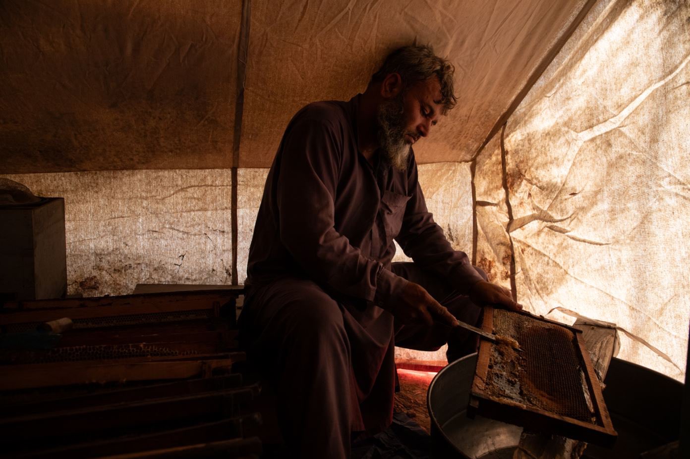 اروپایي ټولنه: افغانستان کې له کوچنیو کاروبارونو ملاتړ کوو