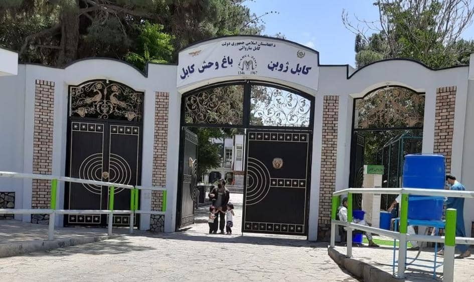 د کابل ژوبڼ بل ځای ته لېږدول کېږي