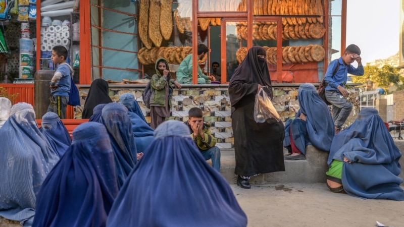 د خوړو نړیوال پروګرام: له اړمنو افغانانو سره د مرستو لپاره ۷۶۰ میلیونه ډالرو ته اړتیا ده