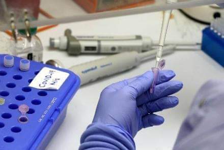 امریکا کې د کرونا ویروس تازه حال!