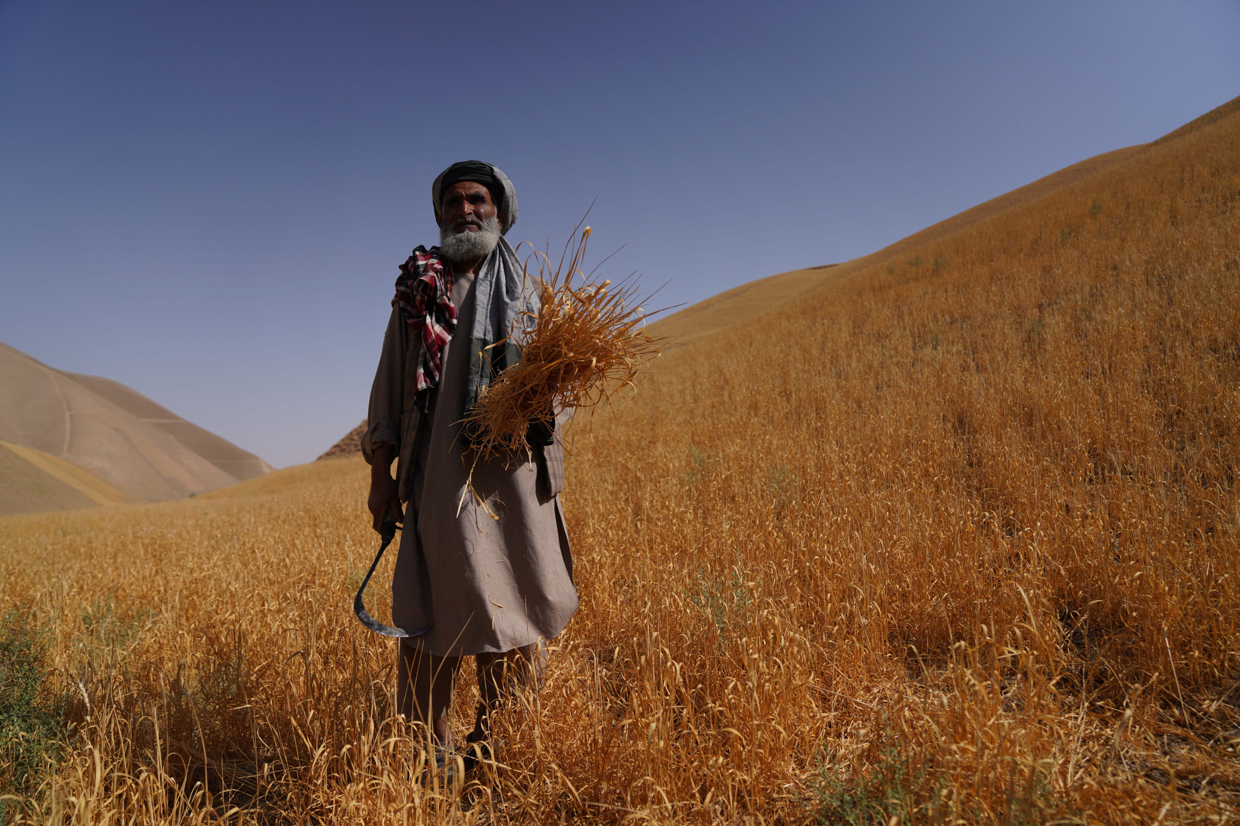 ملګري ملتونه: وچکالۍ د افغانستان ۱۹ ولایتونه اغېزمن کړي