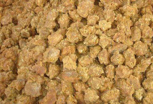 د ګنیو زیات کښت؛ سږکال ننګرهار کې د ګوړې تولید زیات شوی