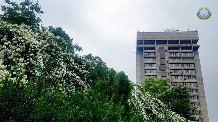 د مخابراتو وزارت: افغانستان کې د فعالو مخابراتي شرکتونو د خدماتو کیفیت ورته د منلو نه دی.