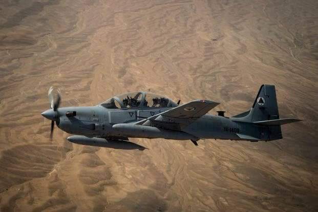 چارواکي په زابل کې طالبانو ته د مرګ ژوبلې اړولو ادعا کوي.