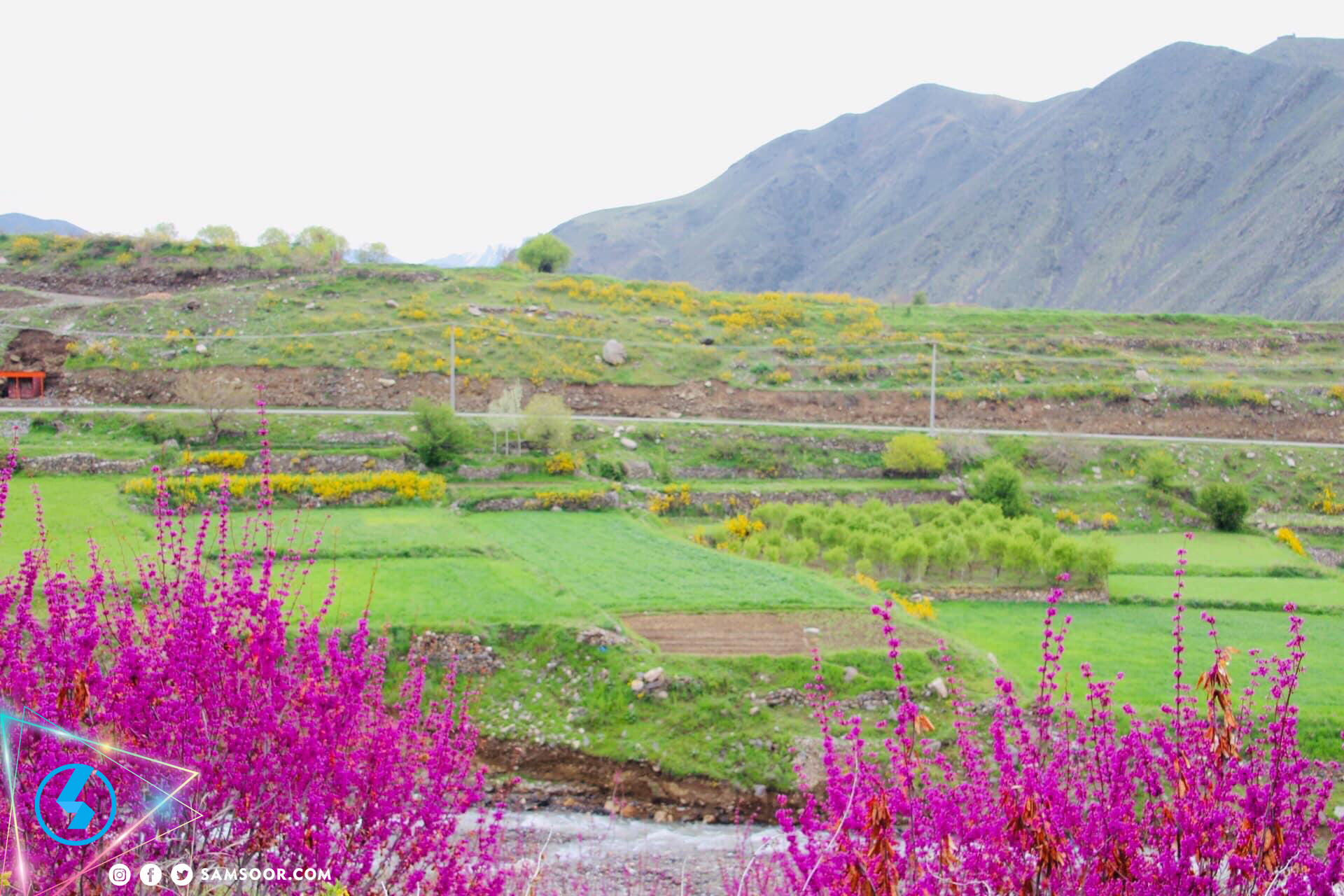 ولایت پنجشیر