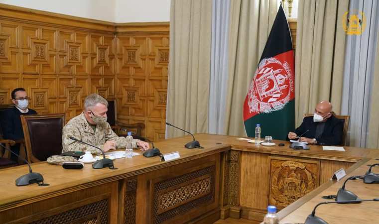 د ولسمشر غني او مککینزي لیدنه