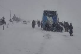 وروستیو ورښتونو؛ مالي او ځاني زیانونه اړولي