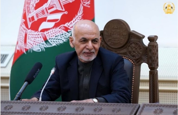 د طالبانو تاوتربخوالی د جمهوریت د حقانیت د اثبات لامل شوی