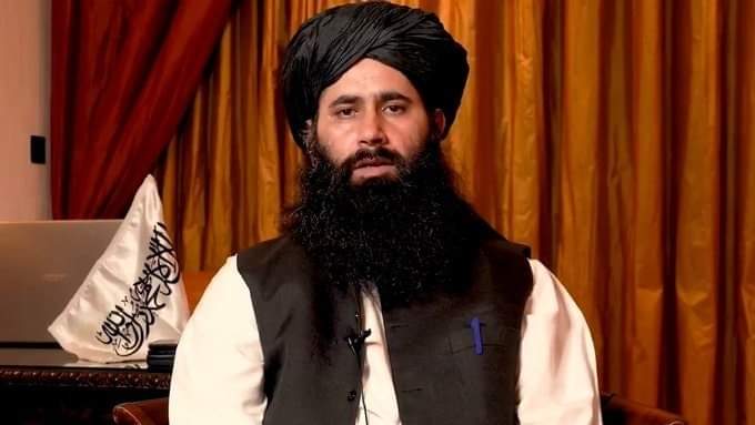 سهیل شاهین وایي، که امریکا په ټاکلي وخت ونه وځي؛ نو جګړه غځوو