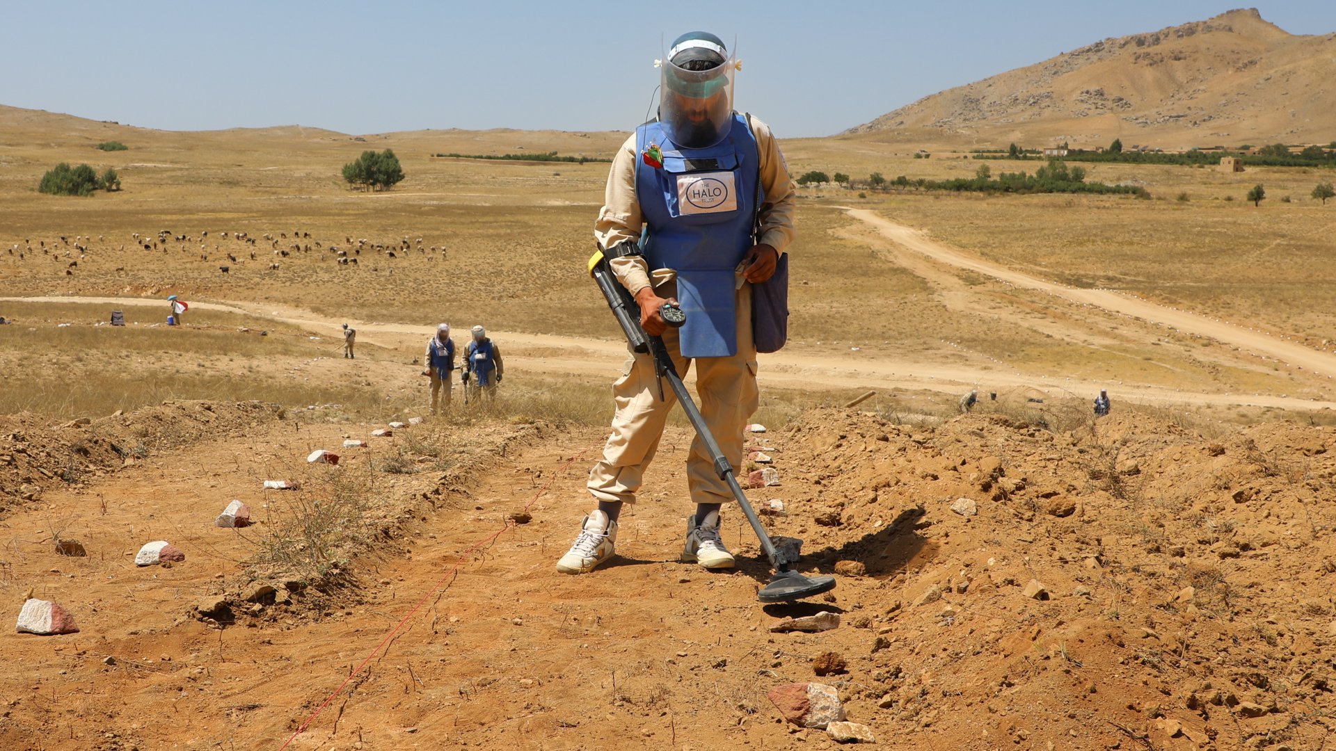 هالو ټرسټ: افغانستان کې ۶،۴ میلیونه کسان د چاودېدونکو توکو له خطر سره مخ دي